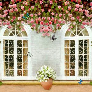 Tranh Dán Tường Cửa Sổ