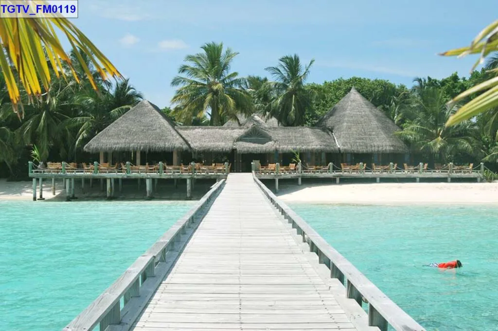 Tranh Dán Tường Cảnh Biển