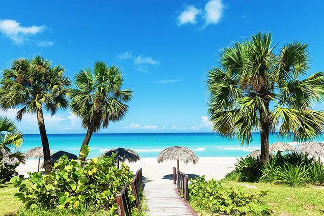 Tranh Dán Tường Cảnh Biển