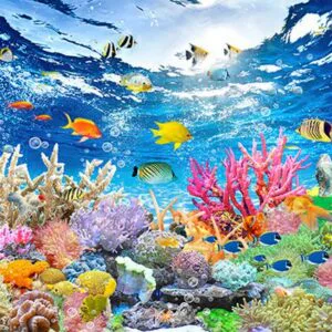 Tranh Dán Tường Cảnh Biển