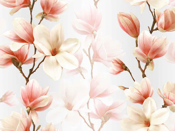 Giấy Dán Tường Hàn Quốc 09