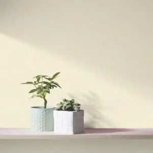 Giấy Dán Tường Mẫu Trơn 08