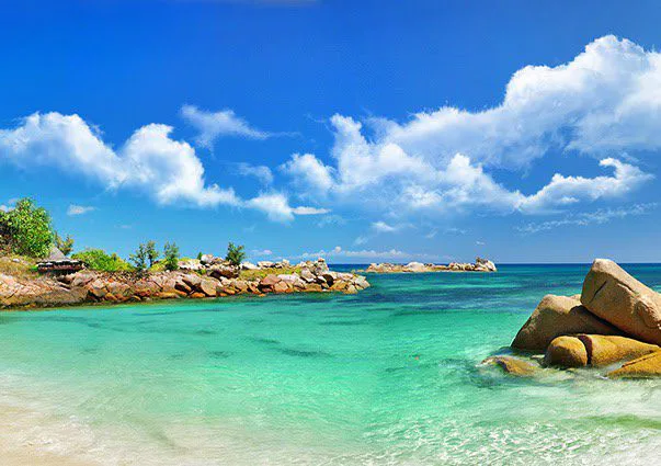 Tranh Dán Tường Cảnh Biển