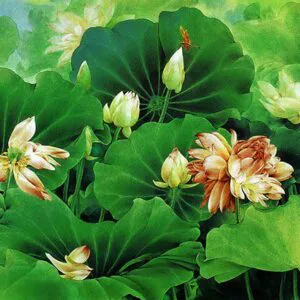 Tranh Dán Tường Hoa Sen