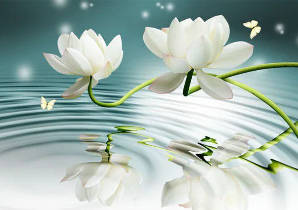 Tranh Dán Tường Hoa Sen