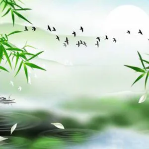 Tranh Dán Tường Hoa Sen