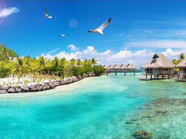 Tranh Dán Tường Cảnh Biển
