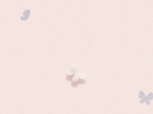 Giấy Dán Tường Hàn Quốc Choe 05